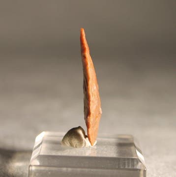 Neolithisch Silex Pijlpunt - 3.1 cm (Zonder minimumprijs)
