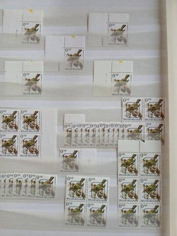 België - Specialisten verzameling buzin zegels =