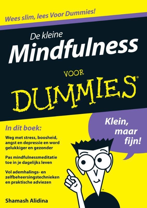 De kleine Mindfulness voor dummies / Voor Dummies, Boeken, Psychologie, Zo goed als nieuw, Verzenden