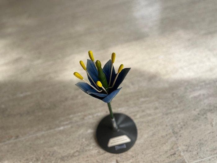 Lesmateriaal - Paravia - Pastiglia - 1950-1960 - Didactisch, Antiek en Kunst, Antiek | Wandborden en Tegels