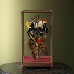 Vlinders in Vitrine Taxidermie Opgezette Dieren By Max, Ophalen of Verzenden, Opgezet dier