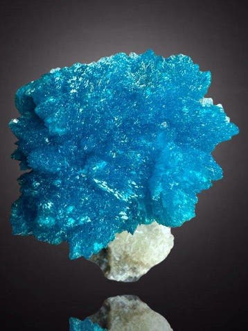 Cavansite en fleur splendide, couleur parfaite Collection de