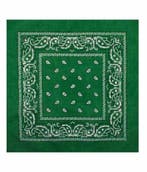 Haarband Bandana Zakdoek 55cm – Paisley Print – Groen, Handtassen en Accessoires, Nieuw