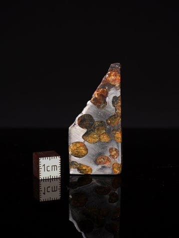 Météorite de Sericho Pallasites - 62 g - (1)