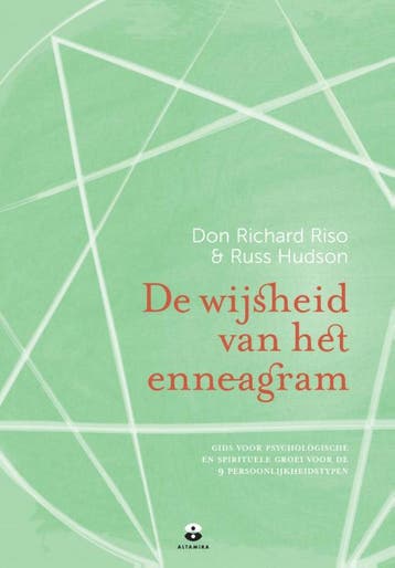 De wijsheid van het enneagram 9789069636849 Russ Hudson, Verzenden, Gelezen, Russ Hudson