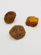 Météorite d’Agoudal Météorite de fer - 123 g - (3), Collections