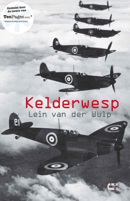 Kelderwesp 9789086840823 Lein van der Wulp, Livres, Littérature, Envoi