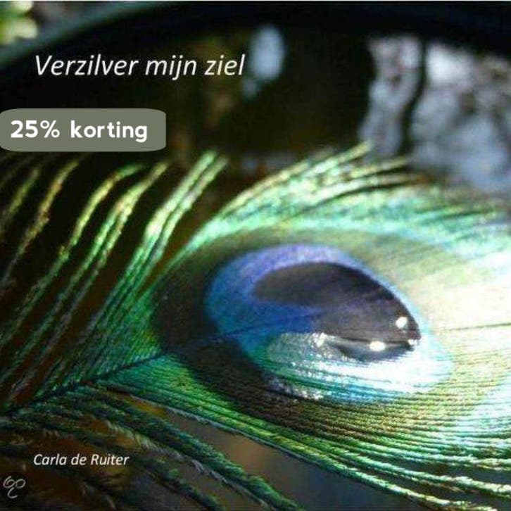 Verzilver mijn ziel 9789082185201 Carla de Ruiter, Livres, Ésotérisme & Spiritualité, Envoi