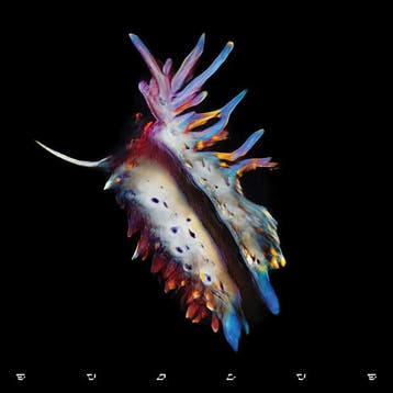 Sub Focus - Evolve, Verzenden, Gebruikt