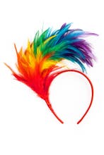 Haarband Veren Regenboog Diadeem Veertjes Multicolor Papagaa, Kleding | Dames, Ophalen of Verzenden, Nieuw