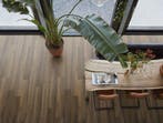 Floorlife / Ambiant Paddington PVC Plak Dryback 9097450119, Ophalen of Verzenden