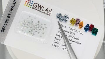48 pcs Diamant (Natuurlijk) - 1.06 ct - Rond - D, Nieuw