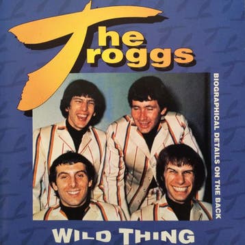 The Troggs - Wild Thing, Verzenden, Gebruikt