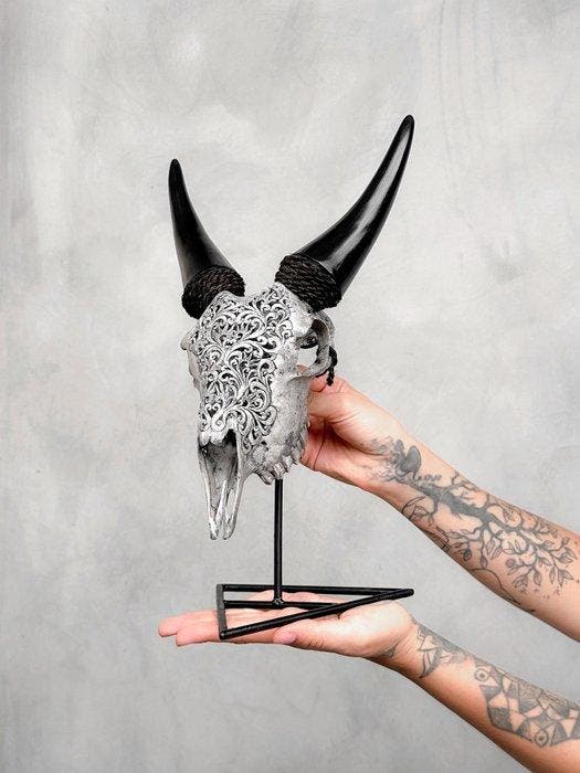 Geen minimumprijs - Grijze geitenschedel met standaard -, Antiek en Kunst, Curiosa en Brocante