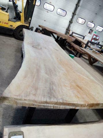 BOOMSTAMTAFEL, TAFELBLADEN , BOOMBLADEN, NATUURTAFELS, Ophalen