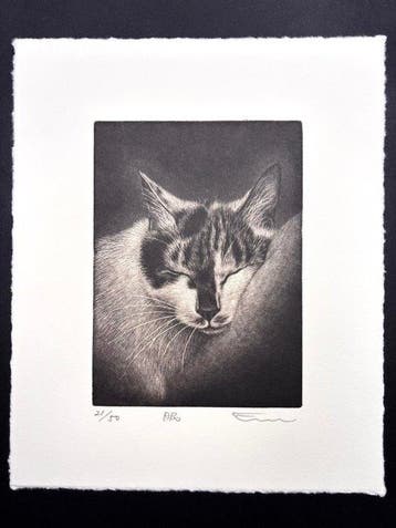 (Sleep) - Extremely Limited 21/50 - Cat - Emi Sato