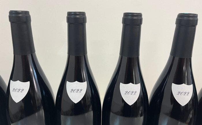 2022 Domaine Vaudoisey-Creusefond - Pommard - 6 Flessen, Verzamelen, Wijnen