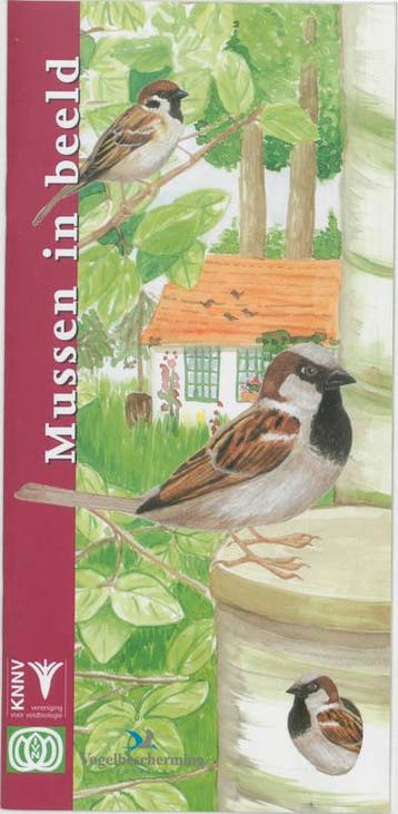 Mussen in beeld / In beeld / 4 9789050111447, Verzenden, M. van der Plas-Haarsma