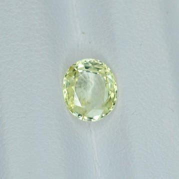 Sans prix de réserve Jaune Saphir - 1.85 ct - International, Nieuw