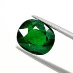 1 pcs Vert Tsavorite - 5.68 ct - Lotus Gemology (Thaïlande)