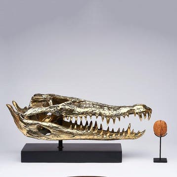 Sculpture, Saltwater Crocodile Skull fashioned in bronze, on, Antiquités & Art
