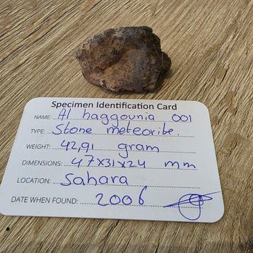 Météorite Al Haggounia 001 Météorite authentique – 42,91 g, Collections