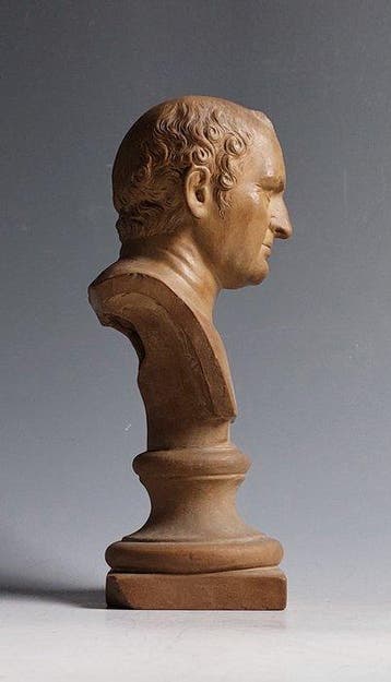 Giovanni Mollica - Buste, Vespasianus - Grand Tour - 20 cm -, Antiek en Kunst