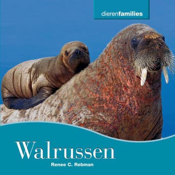 Walrussen / Dierenfamilies 9789055667345 Renee Rebman, Verzenden, Renee Rebman