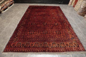 Afghan - Tapis - 282 cm - 200 cm