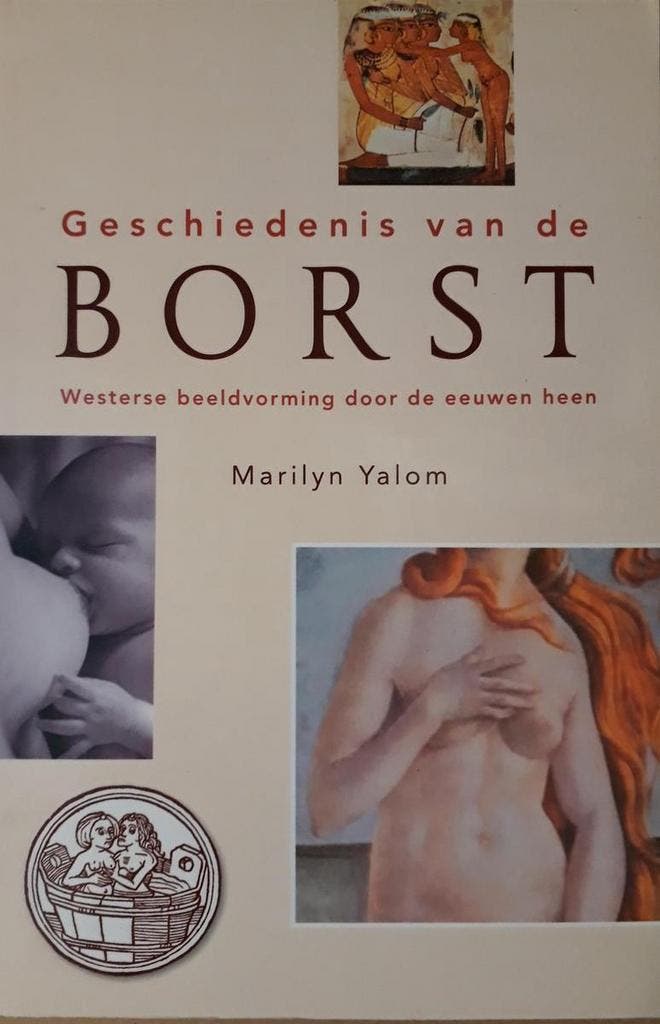 Geschiedenis van de borst 9789032505677 M. Yalom, Boeken, Geschiedenis | Wereld, Gelezen, Verzenden