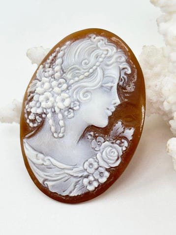 Zonder reserveprijs Cassis madagascariensis - Cameo -