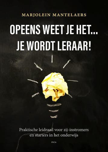 Opeens weet je het... je wordt leraar! 9789493209329, Verzenden, Gelezen, Marjolein Mantelaers