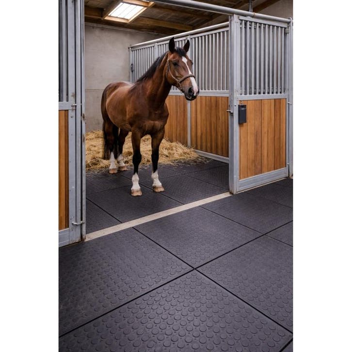Agroclickstalmat 100x100 cm - tapis décurie en pvc à, Animaux & Accessoires, Chevaux & Poneys | Produits de soin, Neuf