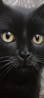 Yevhen Karpenko - The Hippopotamus