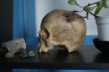 Homme Support de corps entier pour taxidermie - Homo Sapiens
