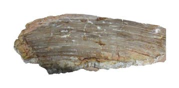 Dienblad - Hout, Antiek en Kunst