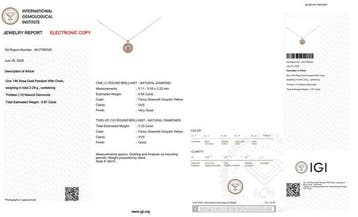 Zonder minimumprijs - Ketting met hanger - 14 karaat