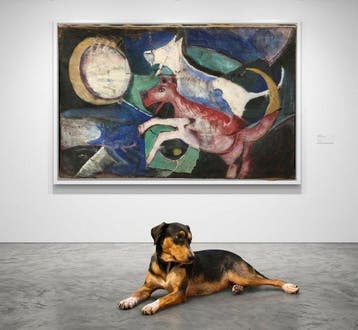 Iván Mogarra (1968) - Good Dog, Bad Dog