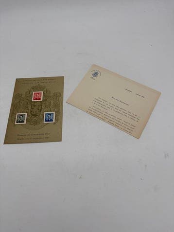 Belgique 1953/1953 - Feuillet LUXE (rare) LUX16 SAR le Roi, Gestempeld