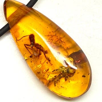 Halsketting met hanger van natuurlijk Baltisch amber met, Verzamelen, Nieuw