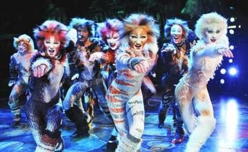 Cats Tickets