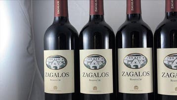 2020 Quinta do Mouro, Zagalos - Vin régional de lAlentejo, Collections, Vins
