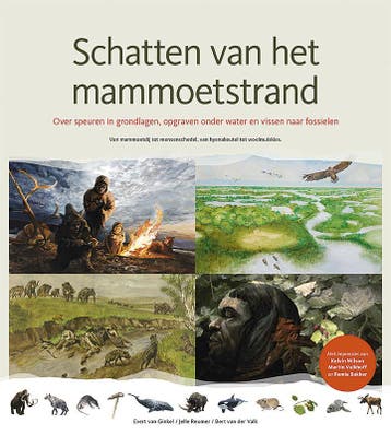 Schatten van het mammoetstrand 9789080989207, Verzenden, Bert van der Valk