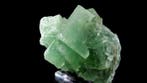 Fluoriet - Xianghuapu, Hunan, China - Hoogte: 15 cm -