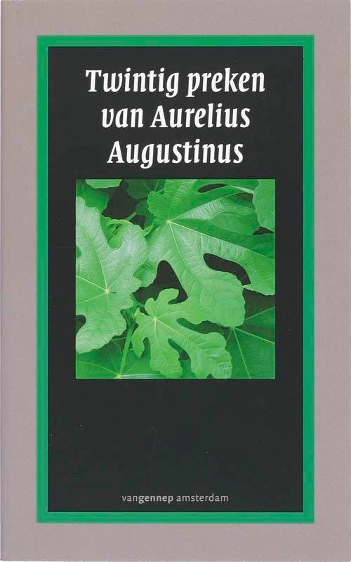 De twintig preken van Augustinus 9789055159093 Augustinus, Boeken, Romans, Zo goed als nieuw, Verzenden