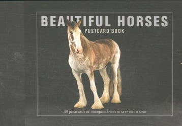 Beautiful Horses Postcard Book 9781782402497 Liz Wright, Verzenden, Liz Wright