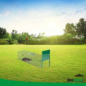 MaxxGarden Vangkooi - Rattenval opvouwbaar 80x25x30cm (Dier), Ophalen of Verzenden, Nieuw