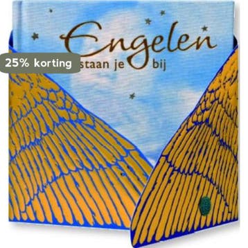 Engelen staan je bij 9789045308005, Verzenden, Gelezen
