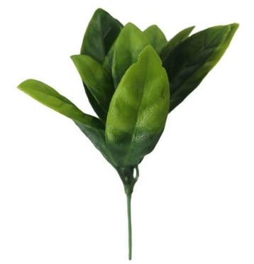 Bladpick Two Tone Groen Kunstblad 15 cm doos 10 stuks, Nieuw