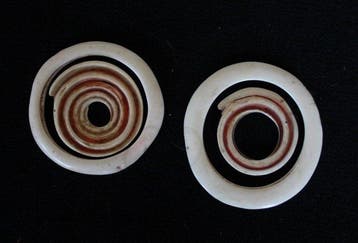 Geldringen - schelpen - Yua, Kwalia (Conusmunten) - Abelam -